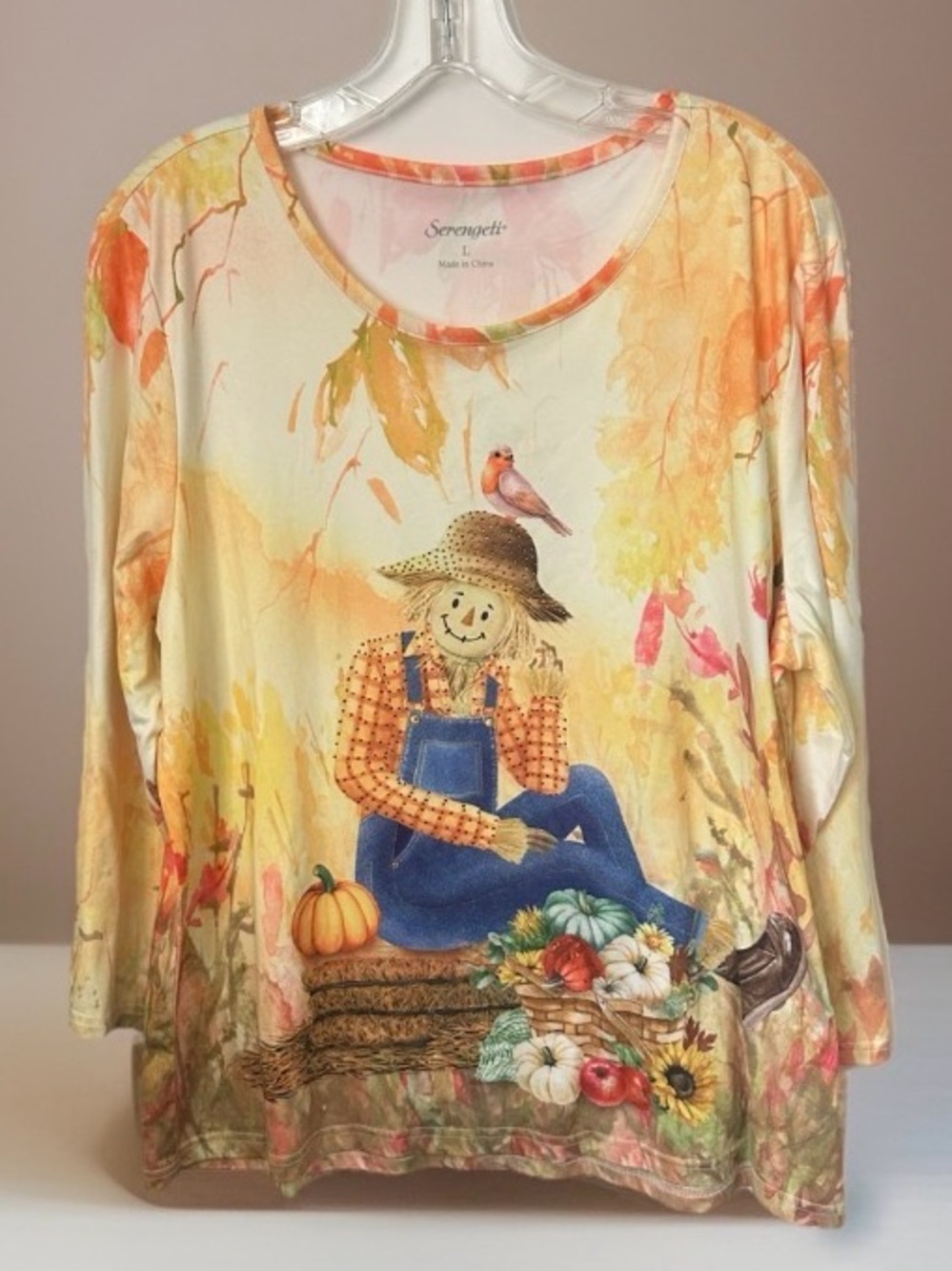 Serengeti Top Autumn Harvest Scarecrow Pumpkins Embelished Top Long Sleeves~L